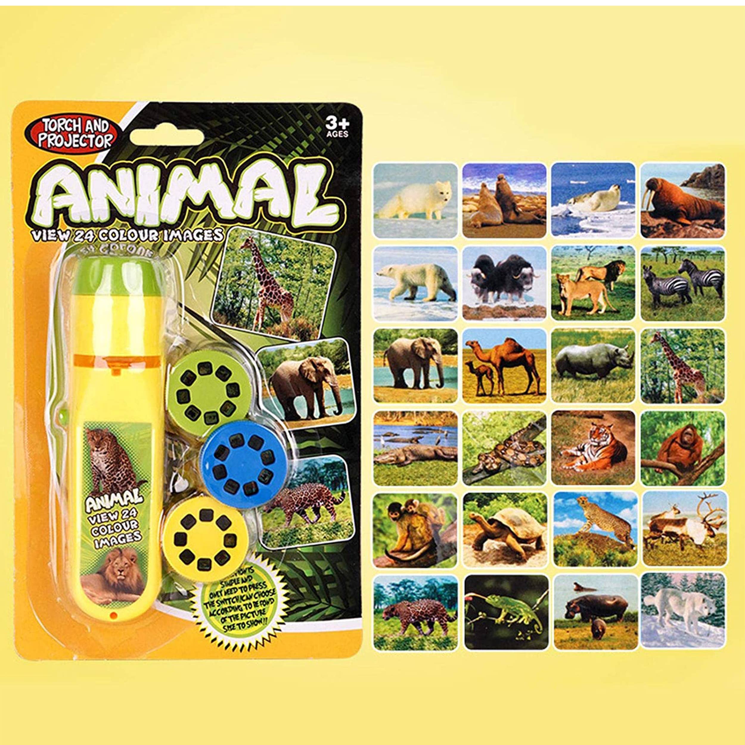 Animal Projector Flashlight Educational Toy Bulk