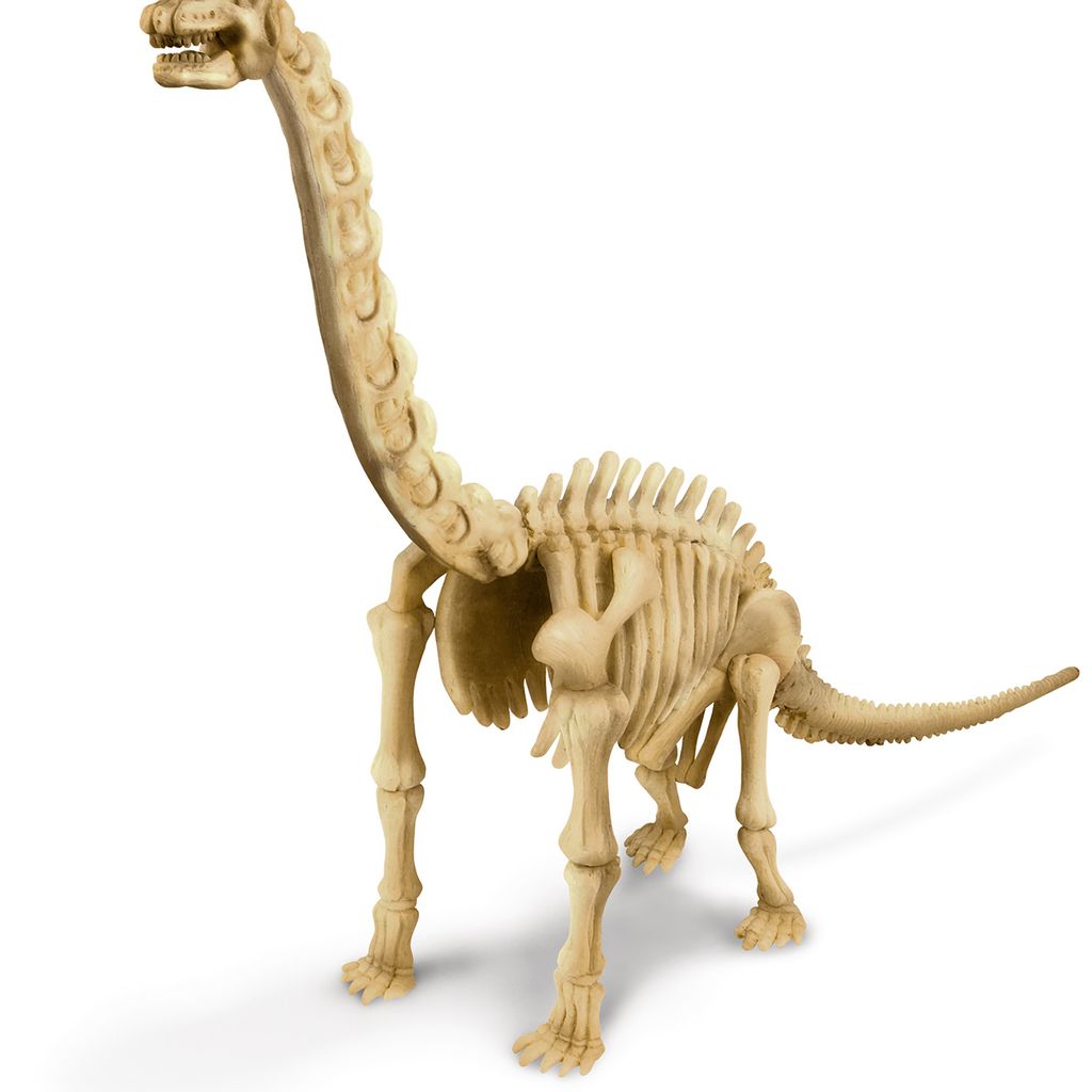 Dig a Dinosaur Skeleton Brachiosaurus Kit