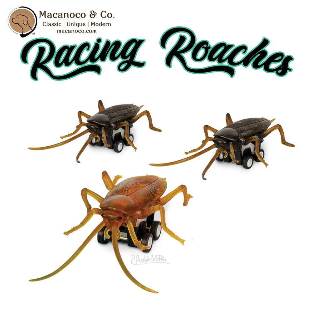 Racing Roaches