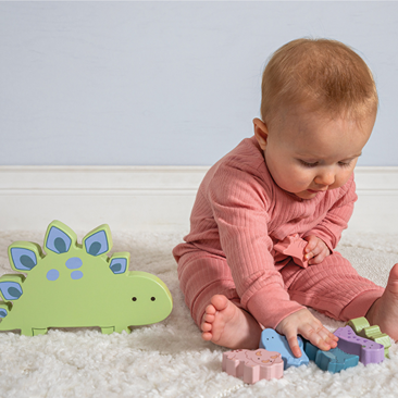 LIttleWood Dinosaur Blocks