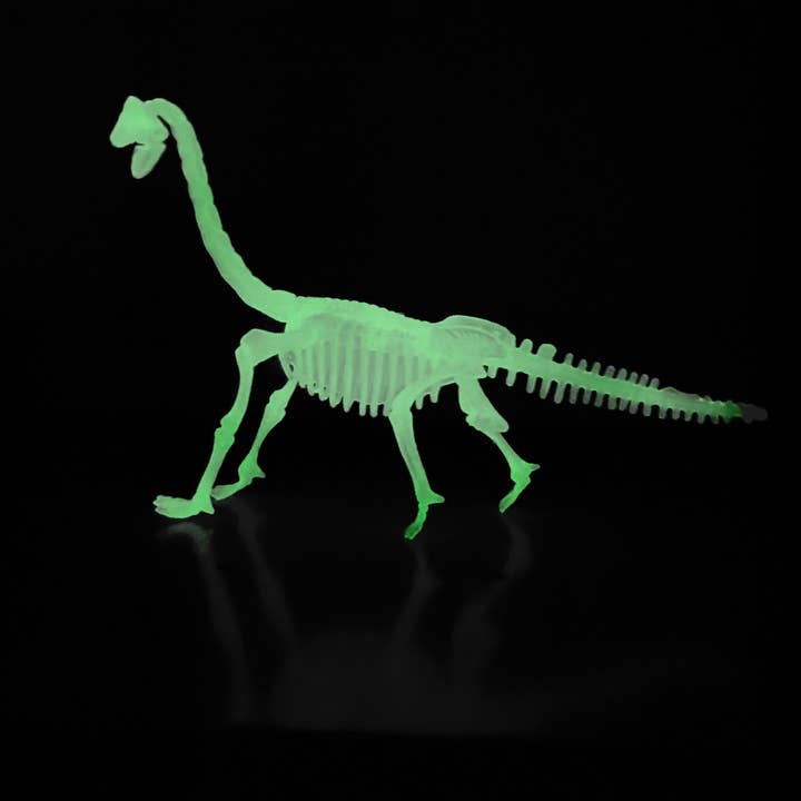 Dinosaur Skeleton Models