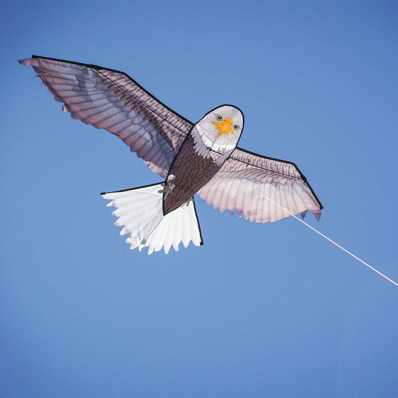 70" Bald Eagle Kite