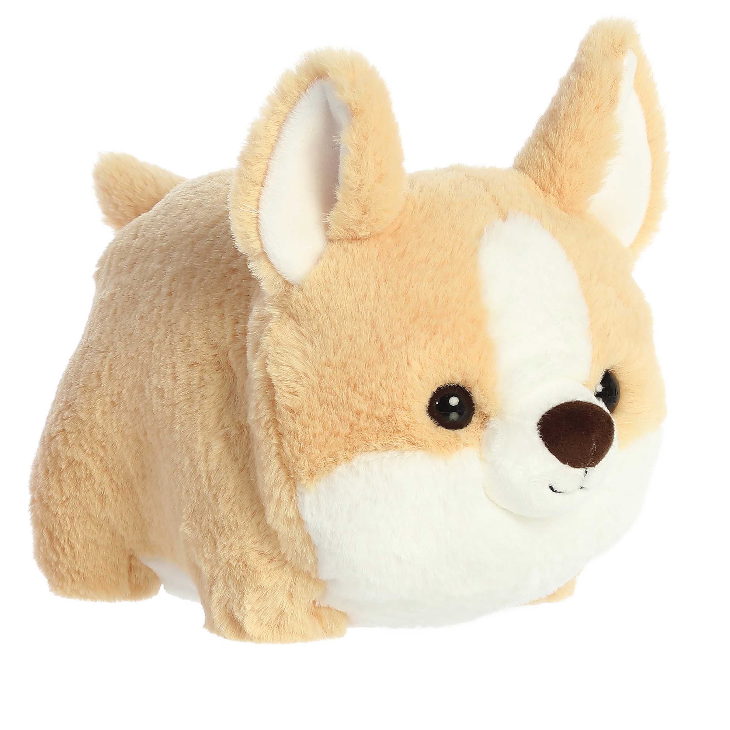 10" Colby Corgi