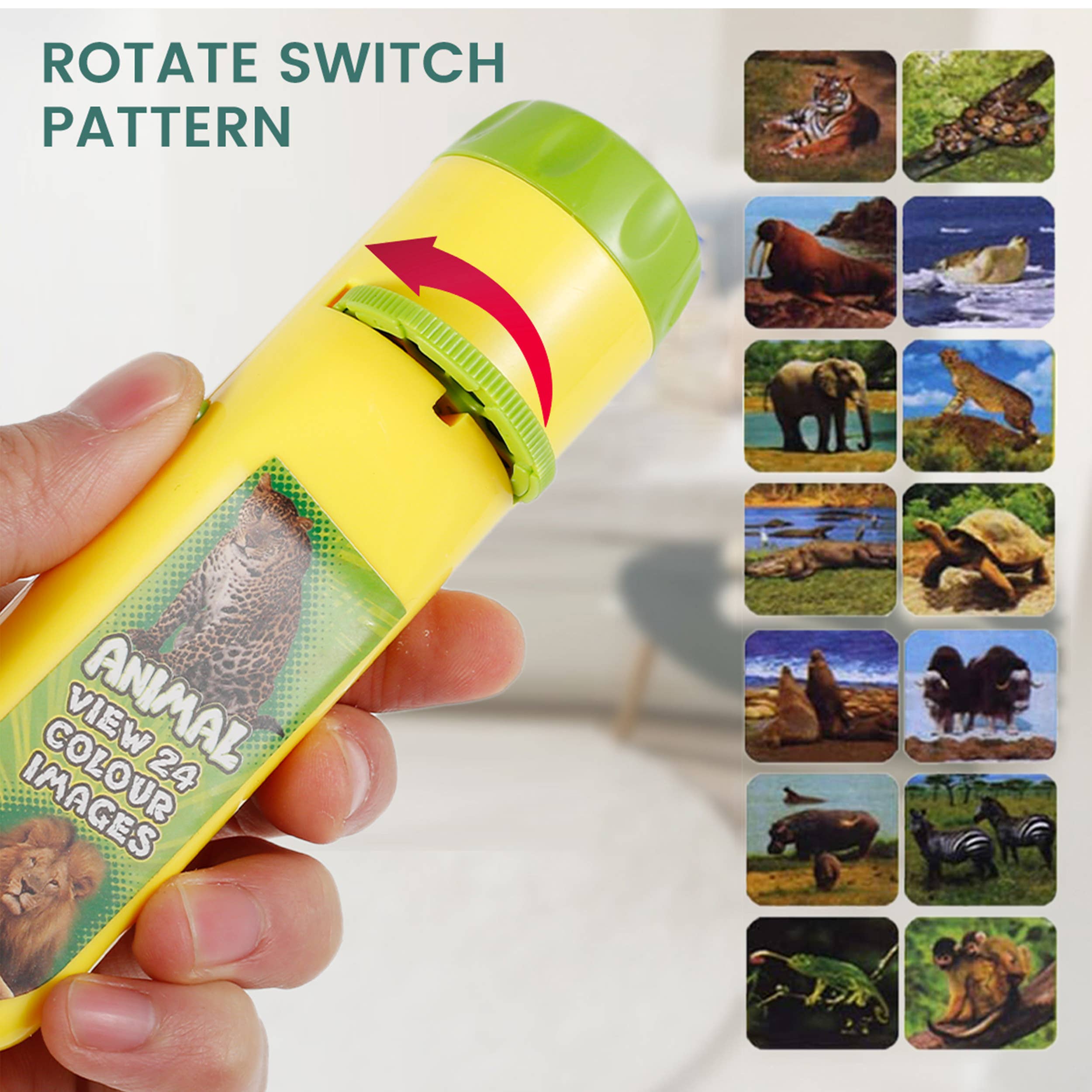 Animal Projector Flashlight Educational Toy Bulk