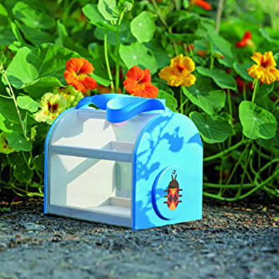 Beetle & Bee Garden Critter Case