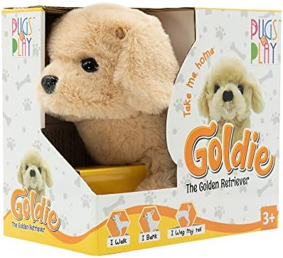 Pugs at Play Goldie