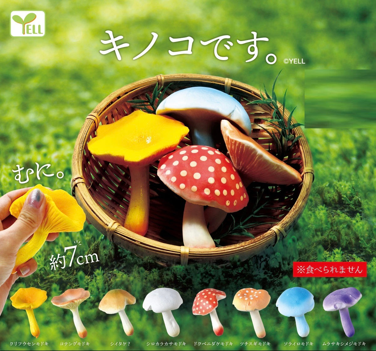 Mini Mushrooms, Pack of 8