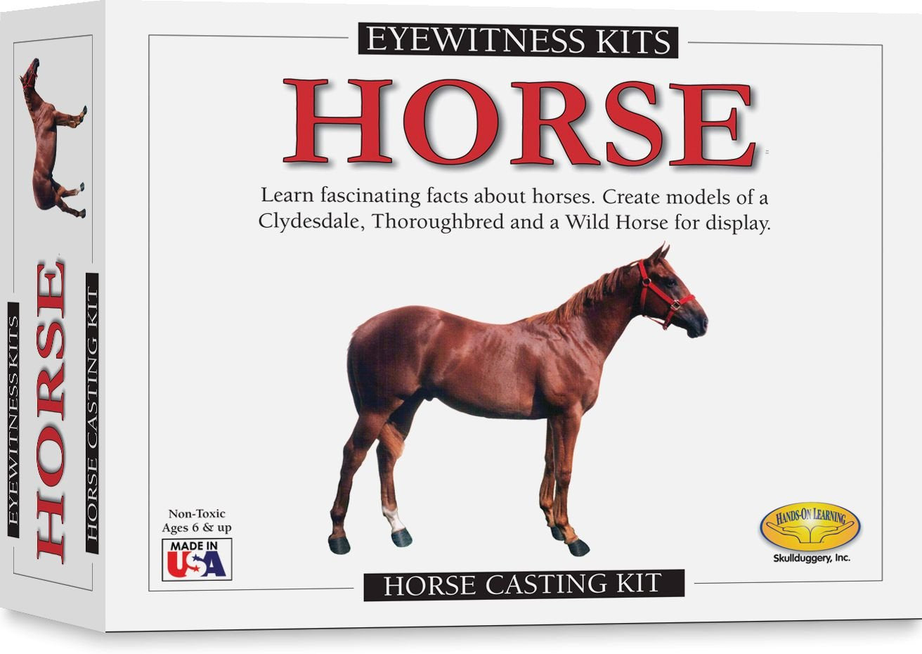 Eyewitness Horse