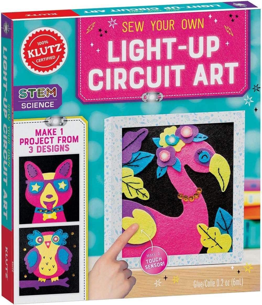 Light-Up Circuit Art