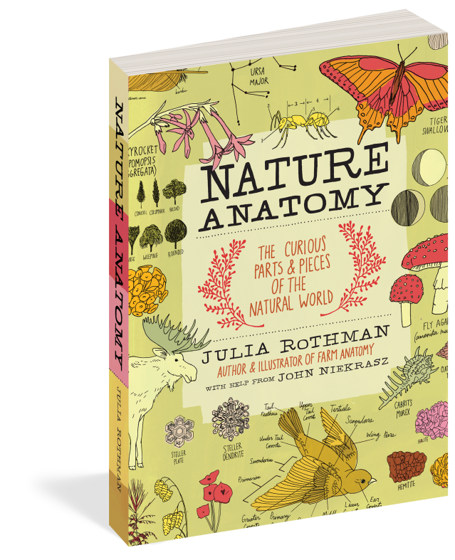 Nature Anatomy: The Curious Parts and Pieces of the Natural World