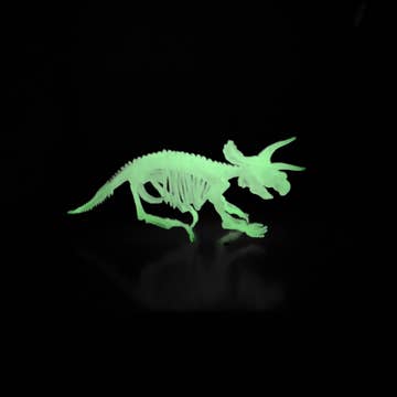 Dinosaur Skeleton Models