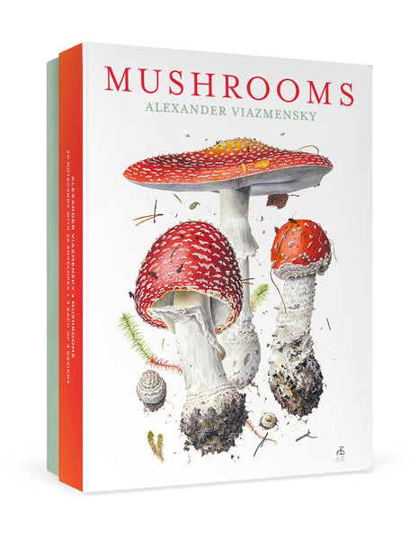 Mushrooms: Alexander Viamenskey 1000 pc