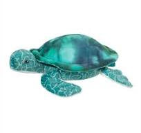 Coast Turtle