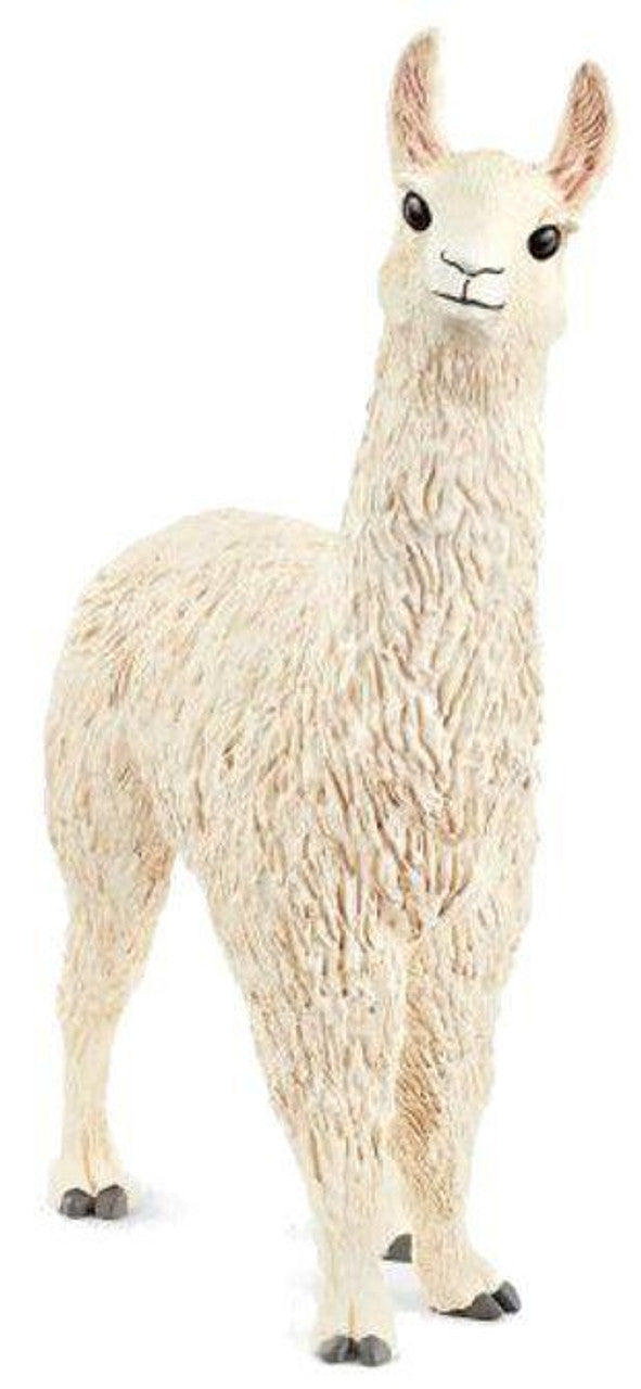 Llama