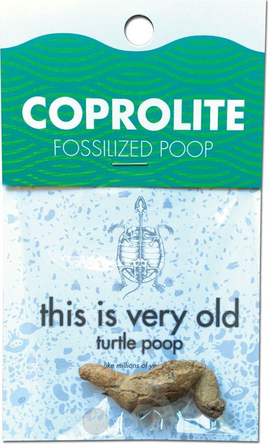 Coprolite Fossilized Poop