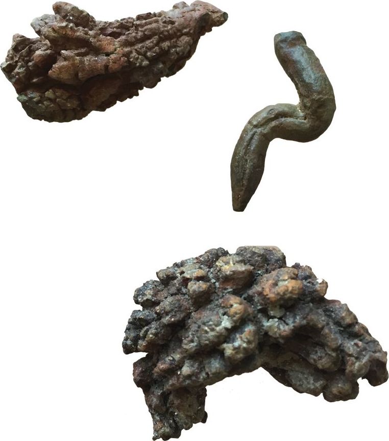 Coprolite Fossilized Poop