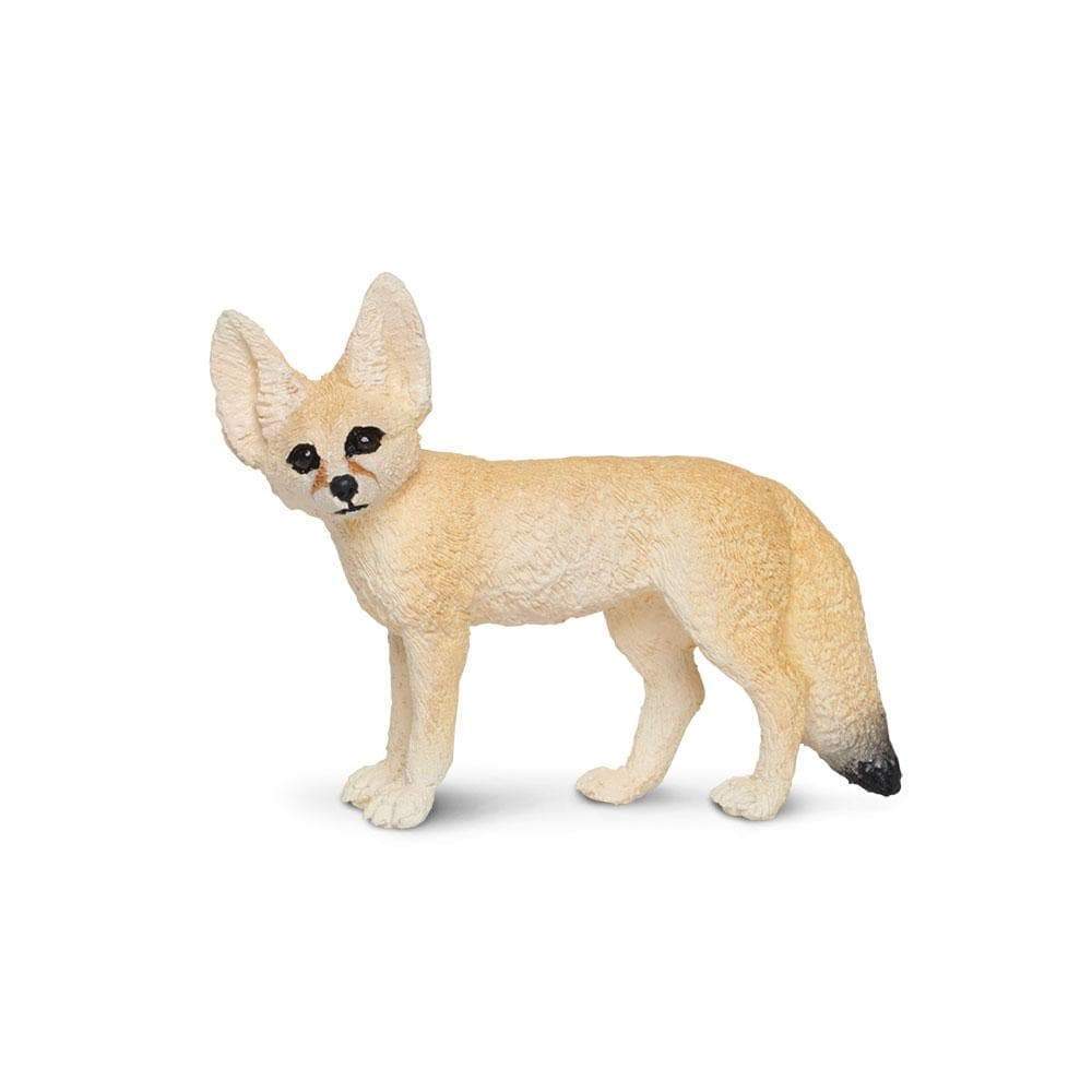 Fennec Fox