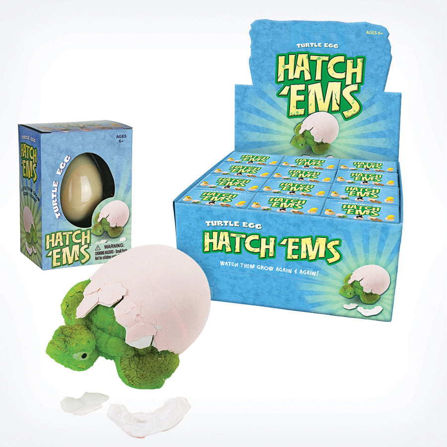 Tortoise Hatch Ems Egg