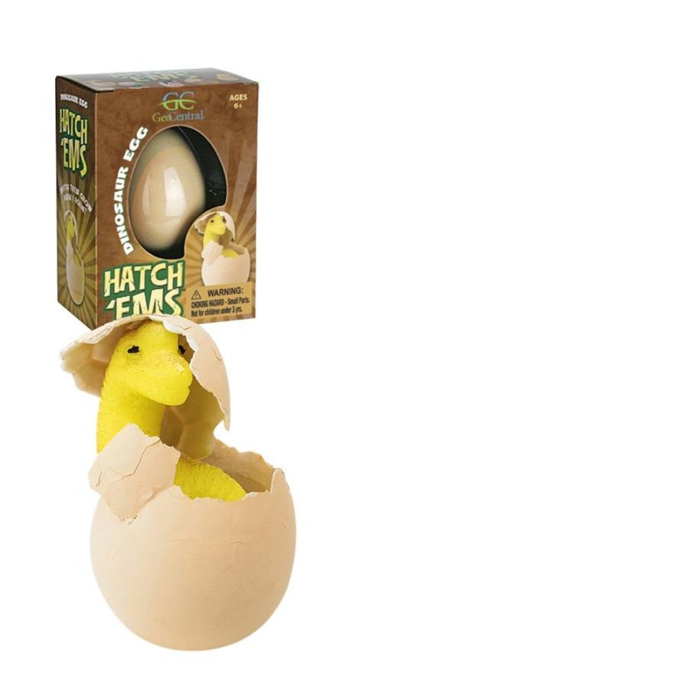 Dinosaur Egg Hatch Ems