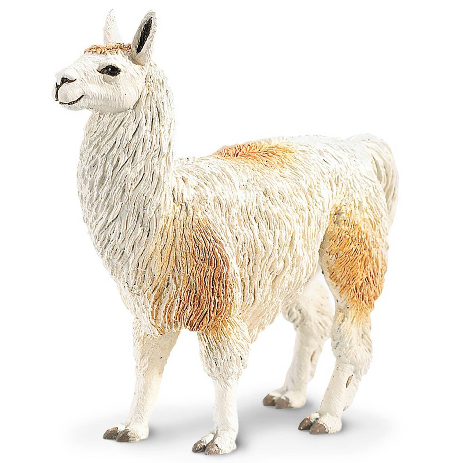 Llama