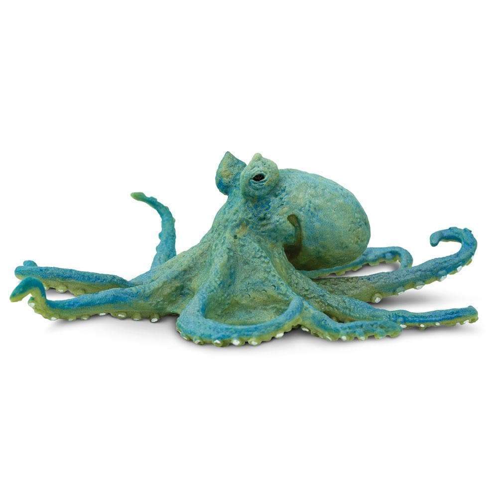 Octopus, Blue