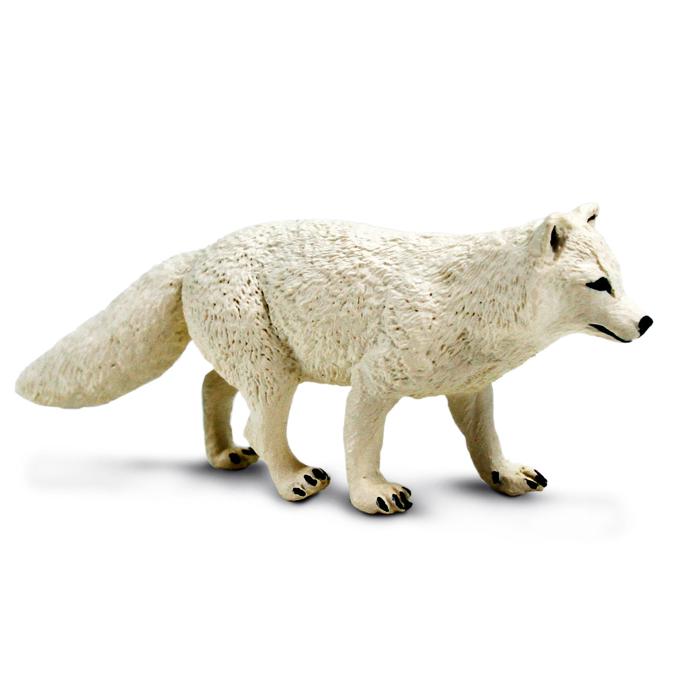 Arctic Fox