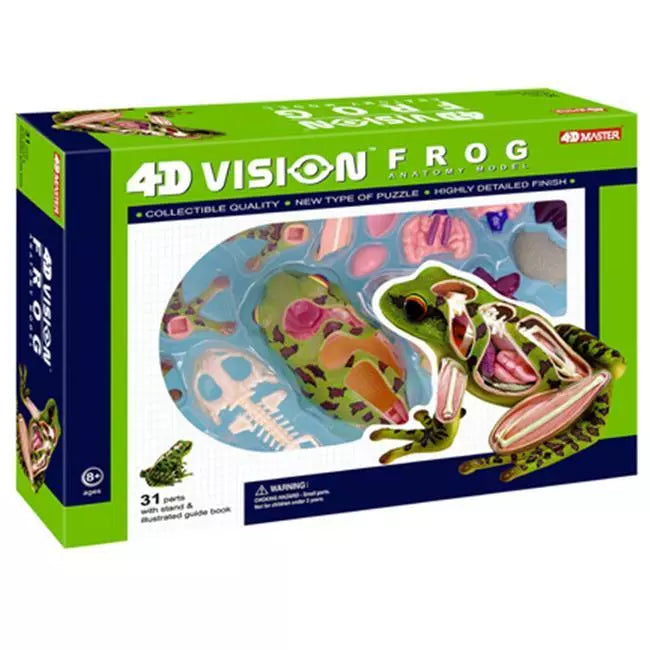 4D Frog Anatomy