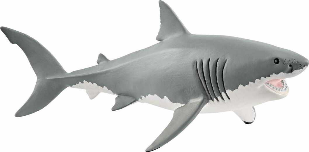 Great White Sherk