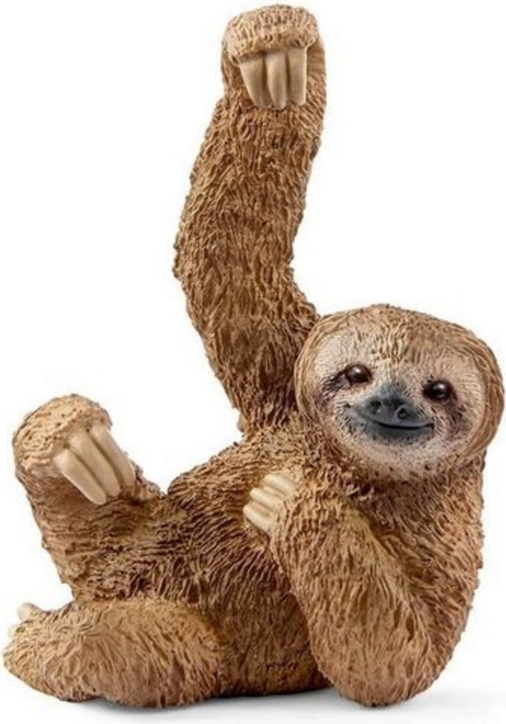 Sloth