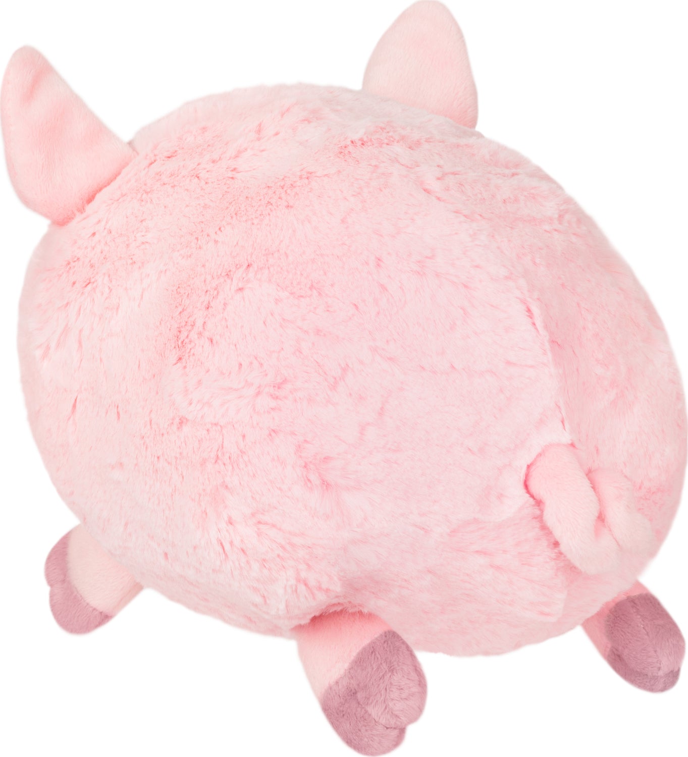 Mini Squishable Piggy